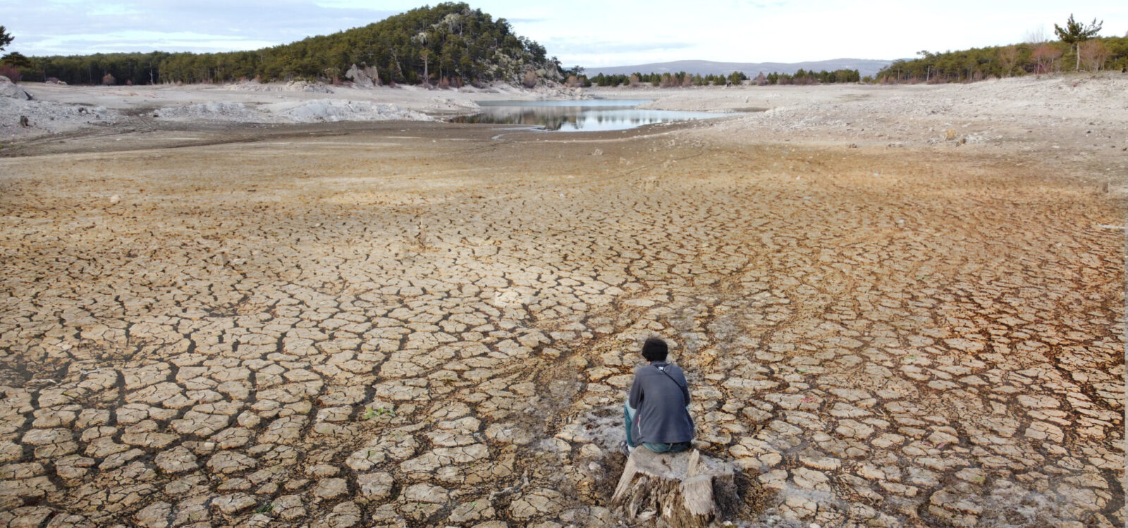 Making sense of physical climate risk assessments