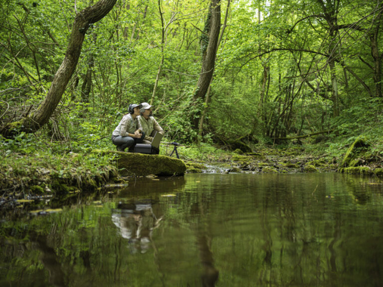 Thumbnail for Taskforce for Nature-Related Financial Disclosures: What Actuaries Need to Know