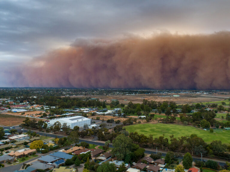 Thumbnail for Record-Breaking Temperatures in August Lead to Extreme Winter